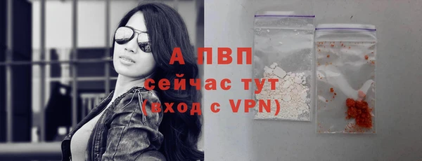 мяу мяу мука Михайлов