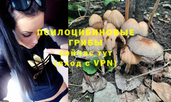 крисы Михайловск