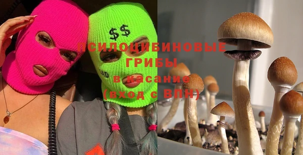 PSILOCYBIN Михайловка