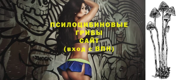 мяу мяу мука Михайлов