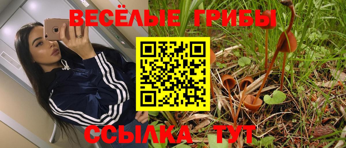 Псилоцибиновые грибы Cubensis  Улан-Удэ 