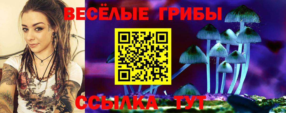 Галлюциногенные грибы GOLDEN TEACHER Улан-Удэ