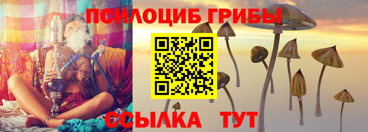 Галлюциногенные грибы GOLDEN TEACHER Улан-Удэ