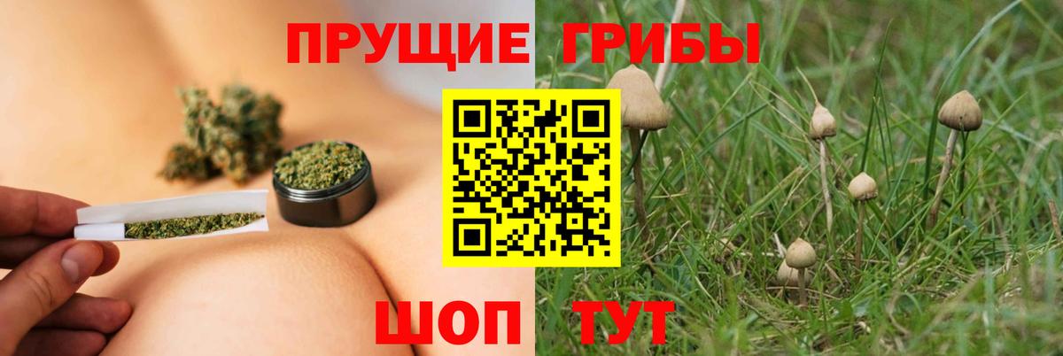 Галлюциногенные грибы мицелий  Вход с VPN  Улан-Удэ 