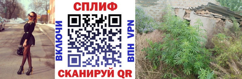 Каннабис план  Улан-Удэ 